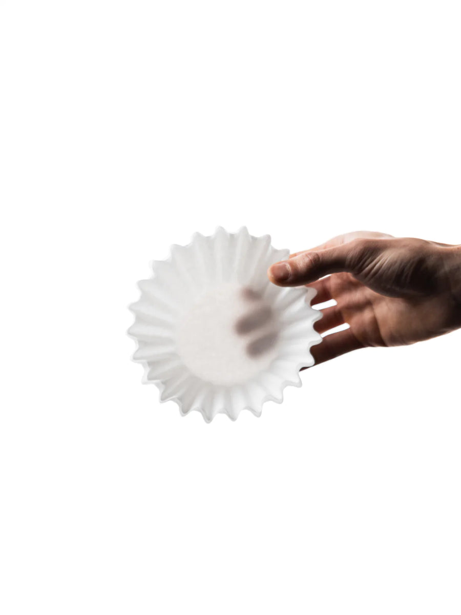 Big Boy Wave Filter Paper Bean Belt