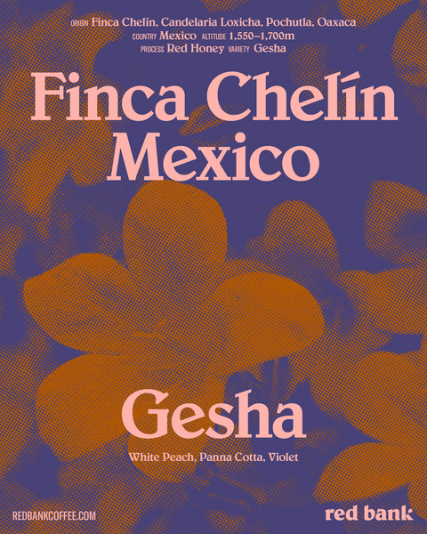 Finca Chelín, Mexico -  Geisha