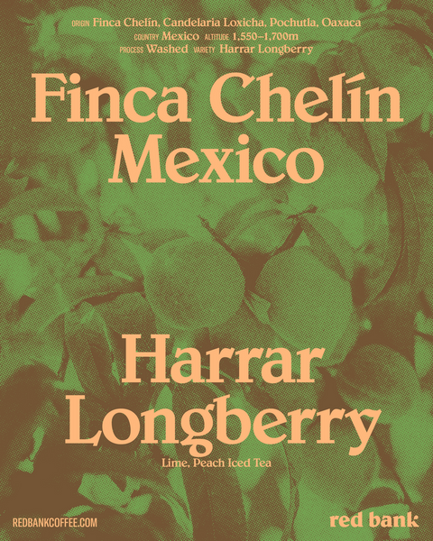 Finca Chelín, Mexico -  Harrar Longberry